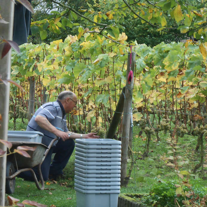 Clos des Troenes
