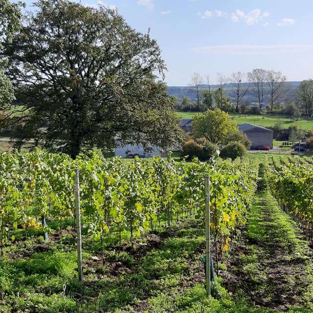 Le Vignoble d'Occarius