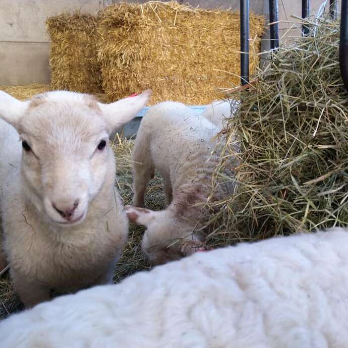 La ferme du Haya