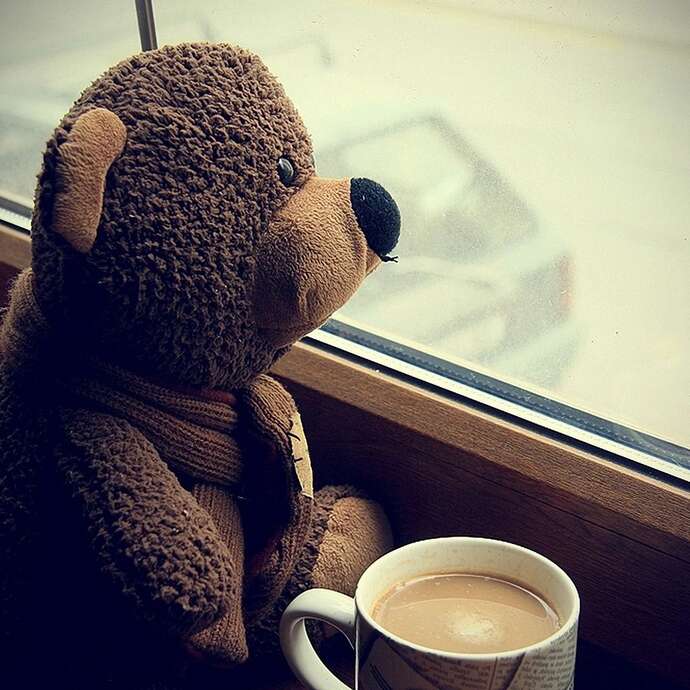 Cafés Ours Noir