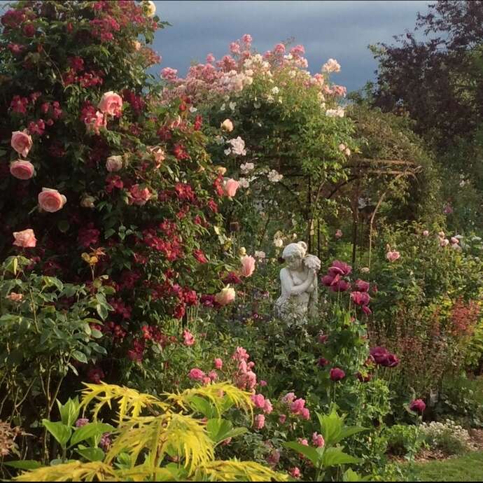 Jardins en pays de Liège - Jeneffe