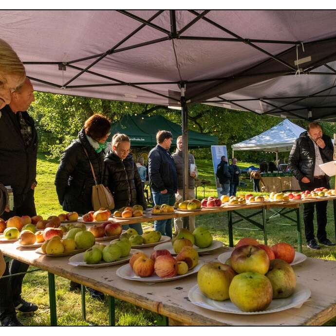 Fêtes des pommes et des poires