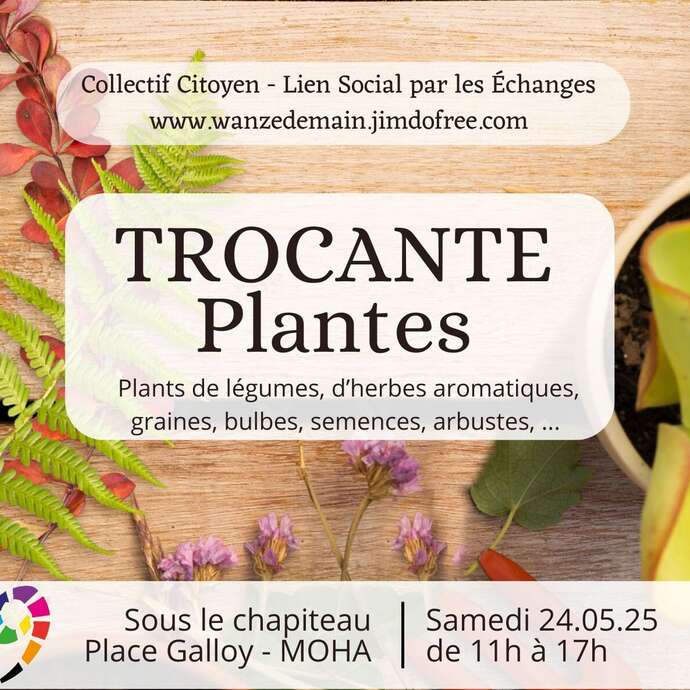 Trocante de plantes