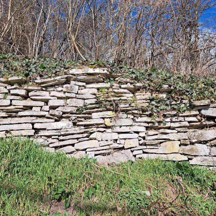 Pierres vivantes – Découvertes naturelles, historiques et géologiques