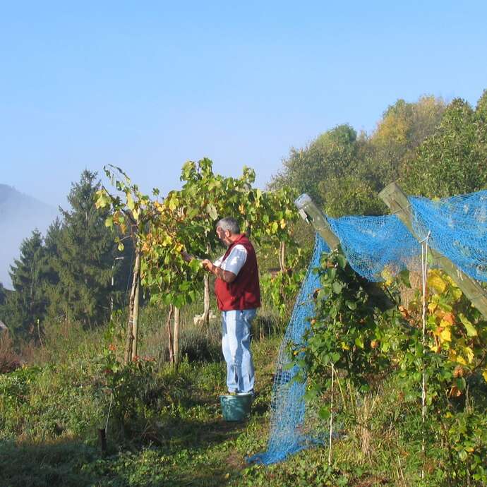 Apéro dans les vignes : Le Clos de la Buissière