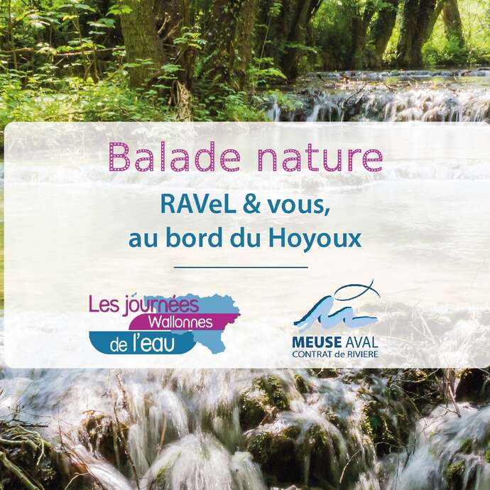 RAVeL & Vous, au bord du Hoyoux
