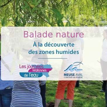 A la découverte des zones humides