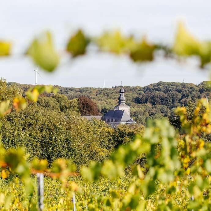 Visite guidée et dégustation ouverte au public