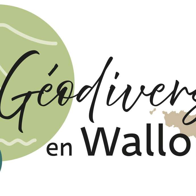Fossiles en ville : "Autour du vieux Huy"