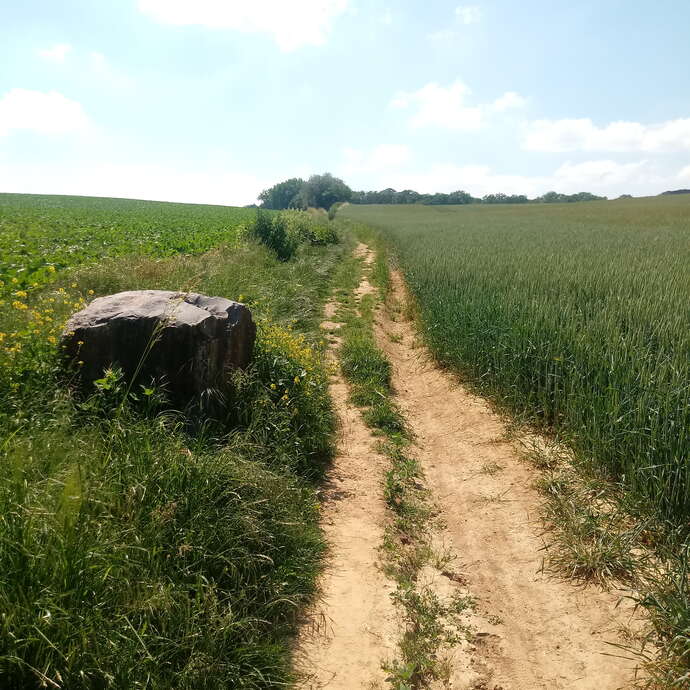 Marche dans la campagne wanzoise