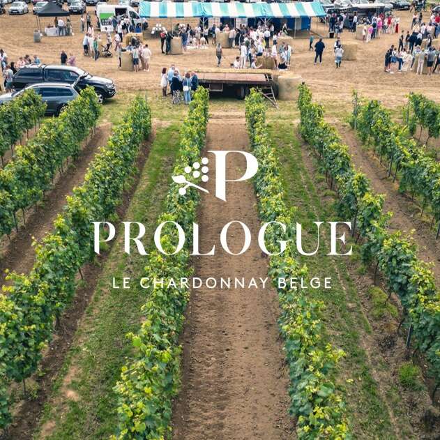 Journée Vignes Ouvertes - Prologue