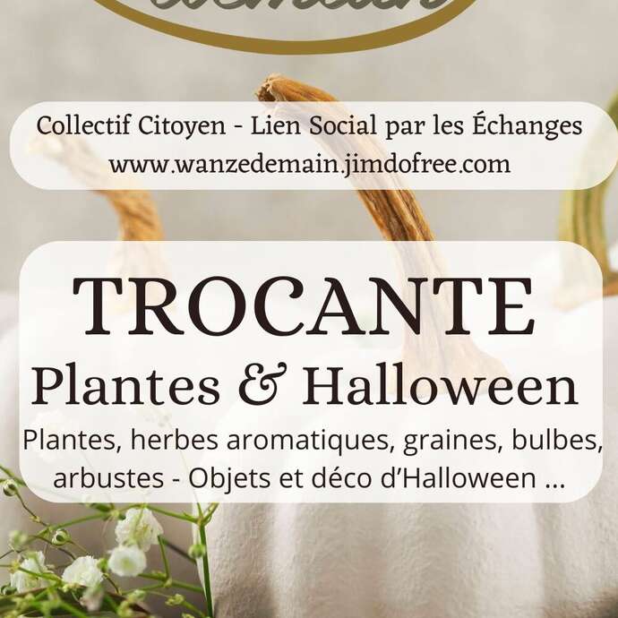 Trocante de plantes et d'objets d’Halloween