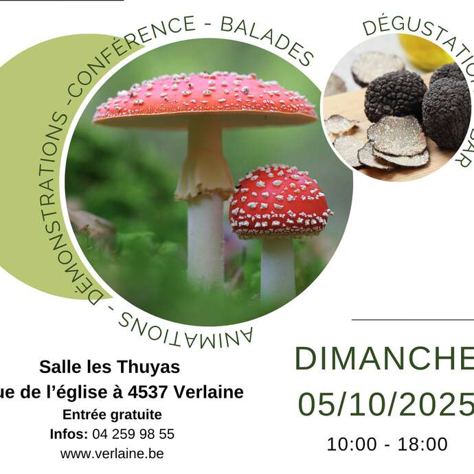Exposition champignons des bois