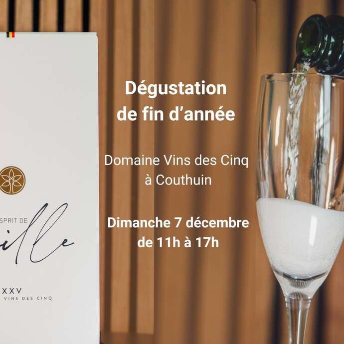Dégustation de fin d'année au Domaine Vins des Cinq