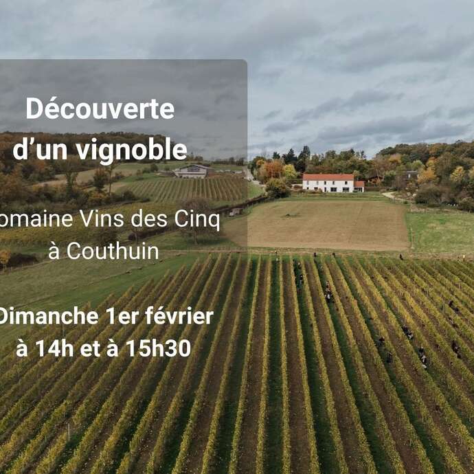 Découverte d'un savoir faire d'un vignoble wallon
