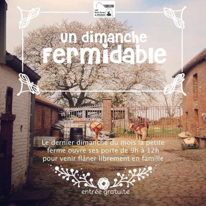 Le dimanche fermidable