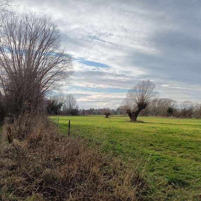 L’eau façonne le vert, récit d’un équilibre en mouvement