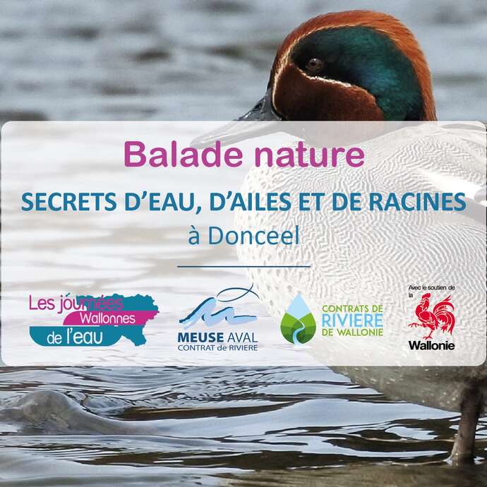 Secrets d'eau, d'ailes et de racines