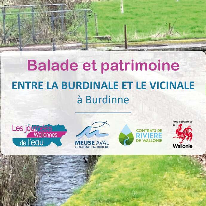 Entre la Burdinale et le Vicinal