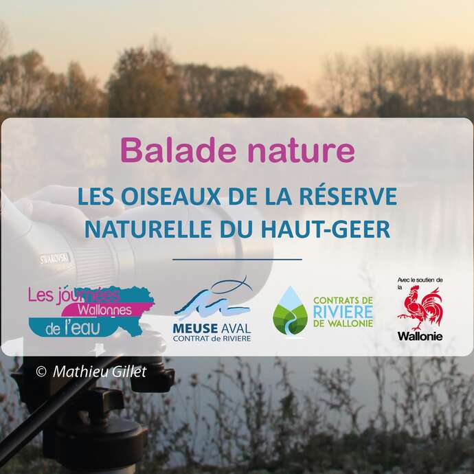 Les oiseaux de la Réserve naturelle du Haut-Geer