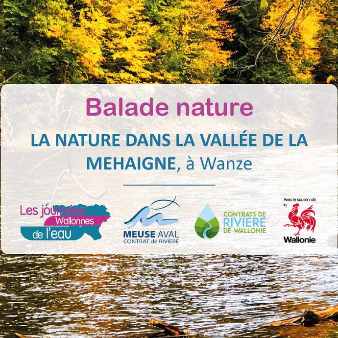 La nature de la vallée de la Mehaigne