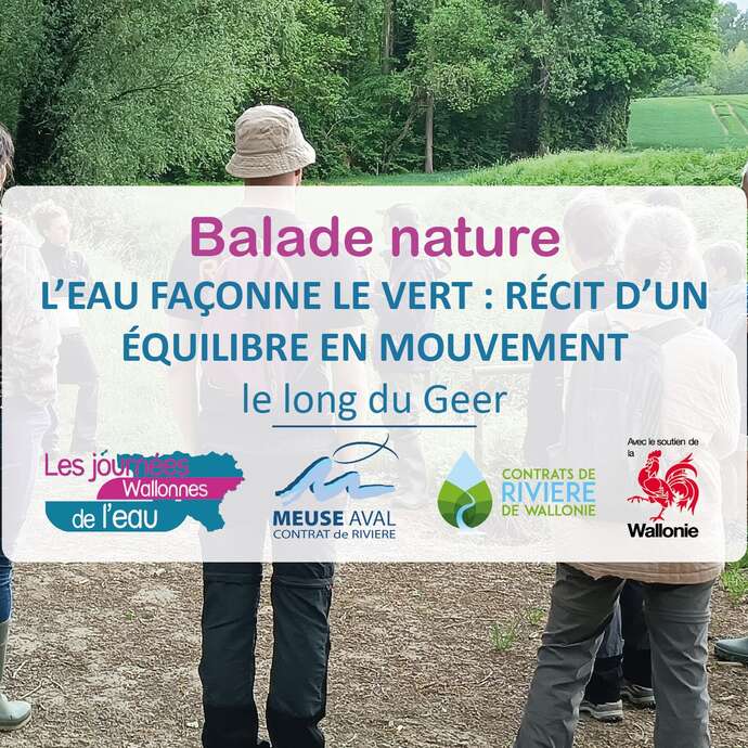 L’eau façonne le vert, récit d’un équilibre en mouvement