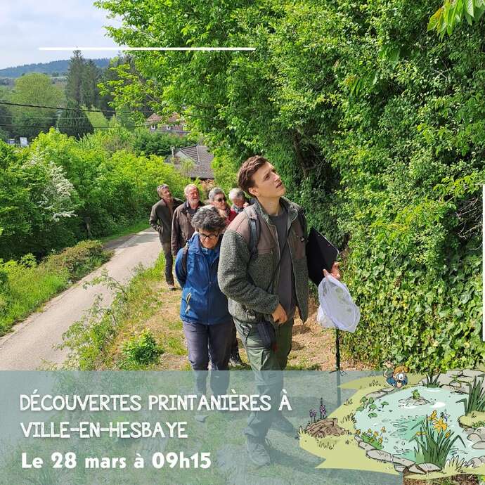 Découvertes printanières à Ville-en-Hesbaye