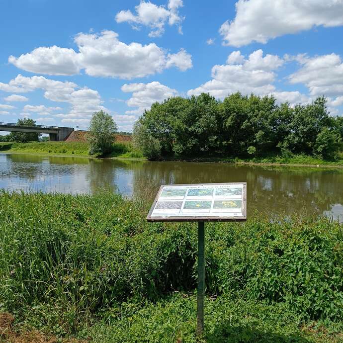 Marais pédagogique de Briollay