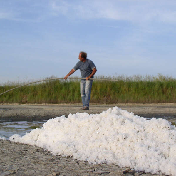 La Salorge de Rostu - Visite de saline - Nicolas Arnould