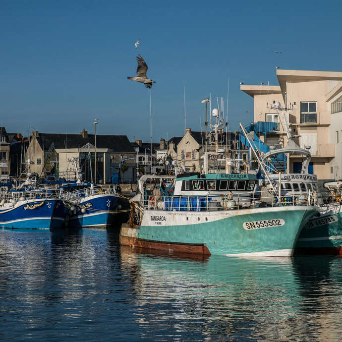 Visite du port de La Turballe