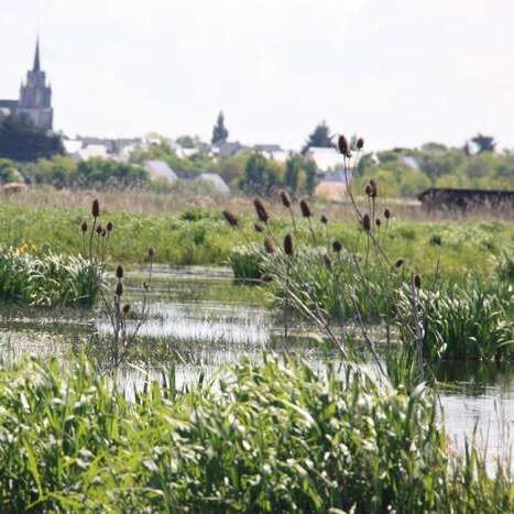 Promenade en chaland avec Christophe Boisrobert