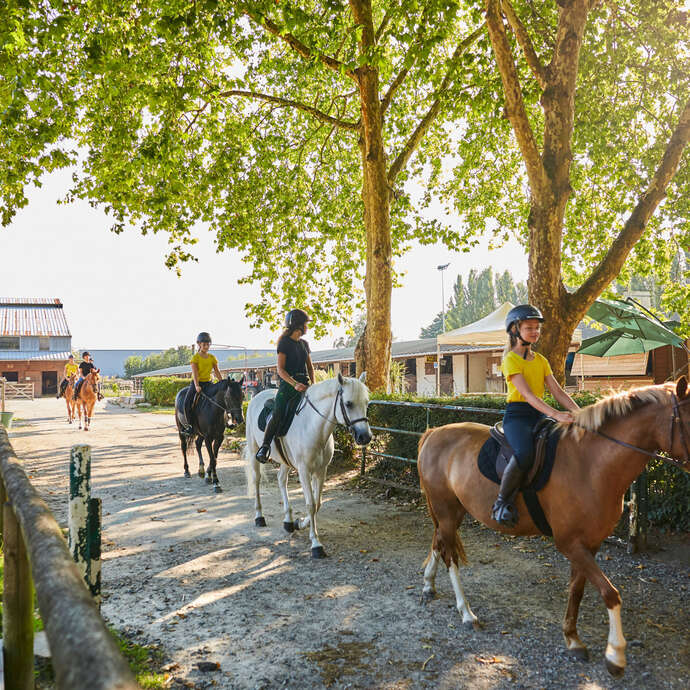 Manège des Platanes Horse riding centre