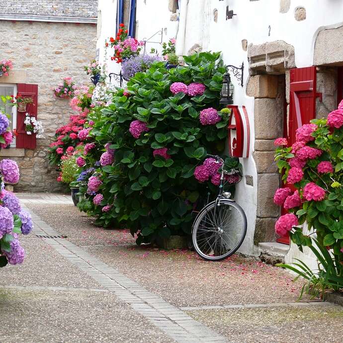 Cités de caractère