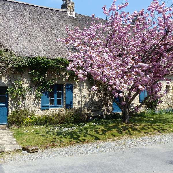 Between cottages and fresh marshes - Entre chaumières et marais