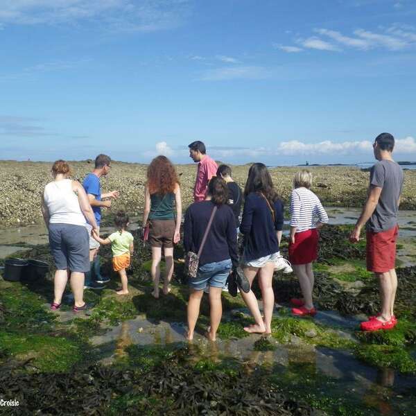 Les Jardins de la Mer - Atelier Algues et Plantes Sauvages