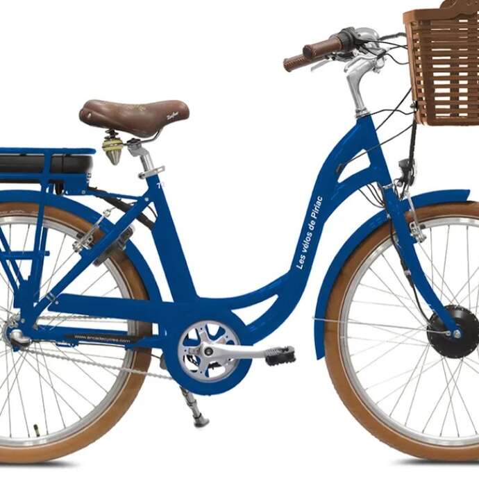 Les vélos de Piriac (location de vélos électriques)