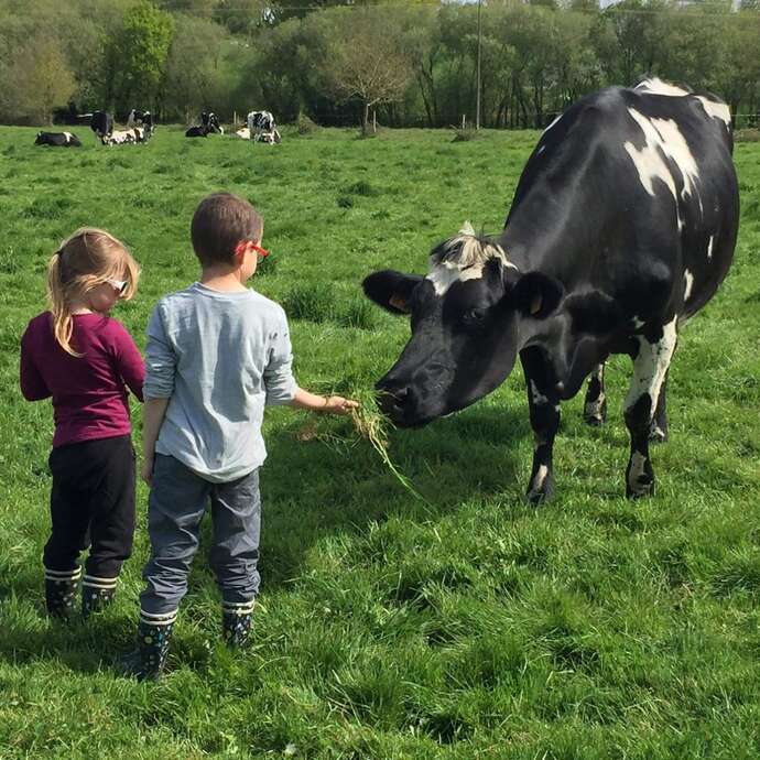 La Petite Arche de la Vallée - Ferme pédagogique
