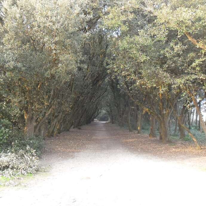 Les landes du Gouverneur