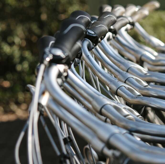 Les vélos tournesols
