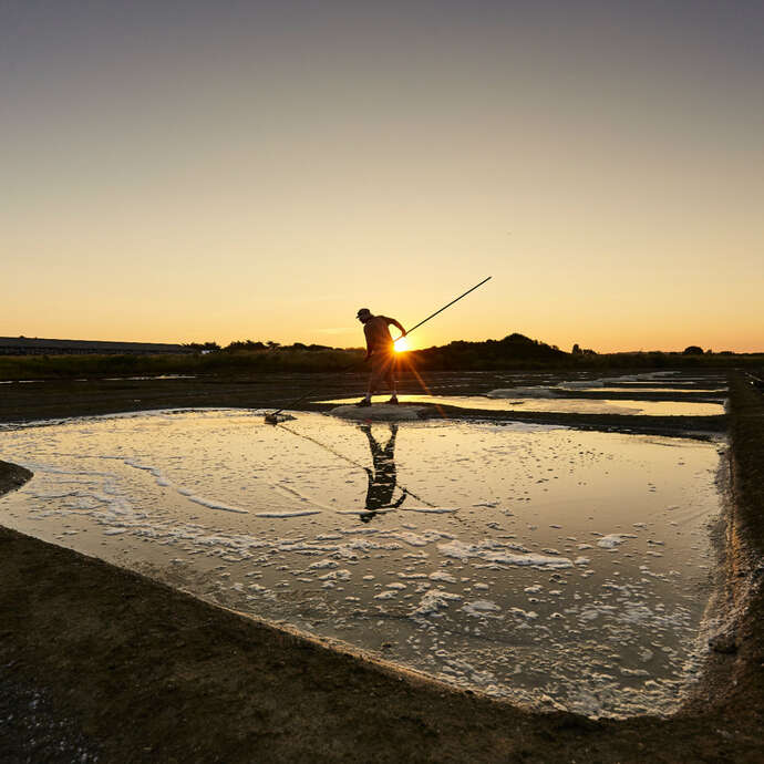 Ô douces ! Ô salées !