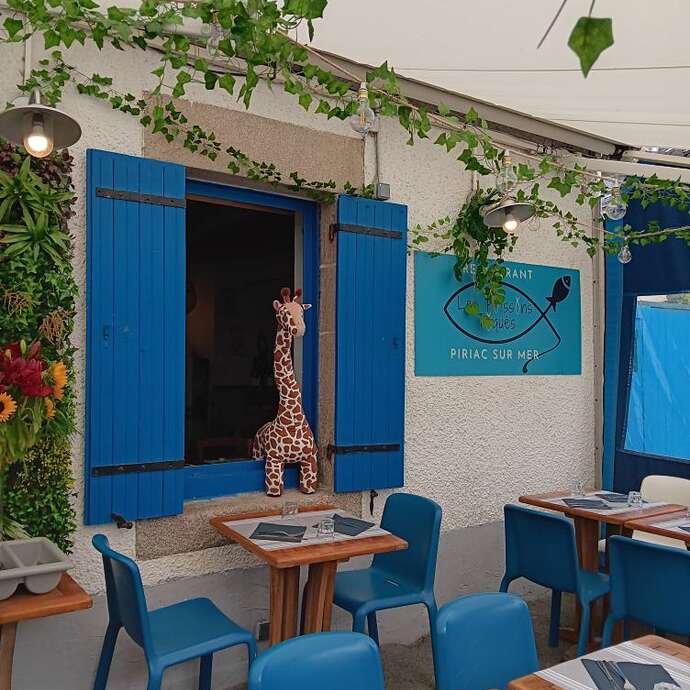 Les Poissons Toqués