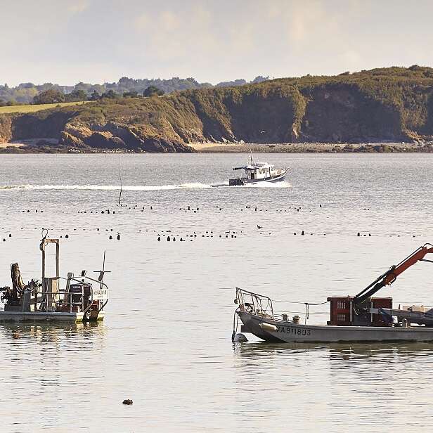Jour 4 : Le long de la Vilaine de Tréhiguier à la Roche-Bernard