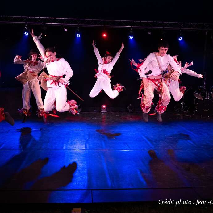 Le cirque musical : "Fabuleux Tour"