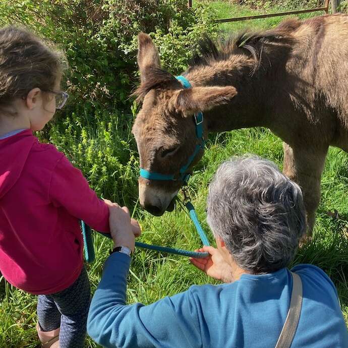 À la découverte des ânes