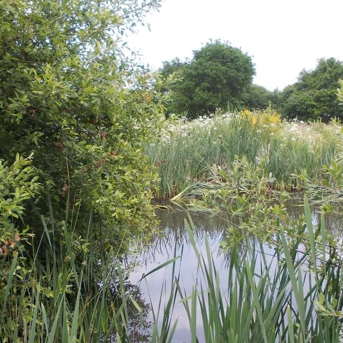 Entre Men ar mor et marais du Branzais