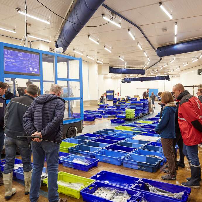 Au Gré des Vents - Visite de la Criée