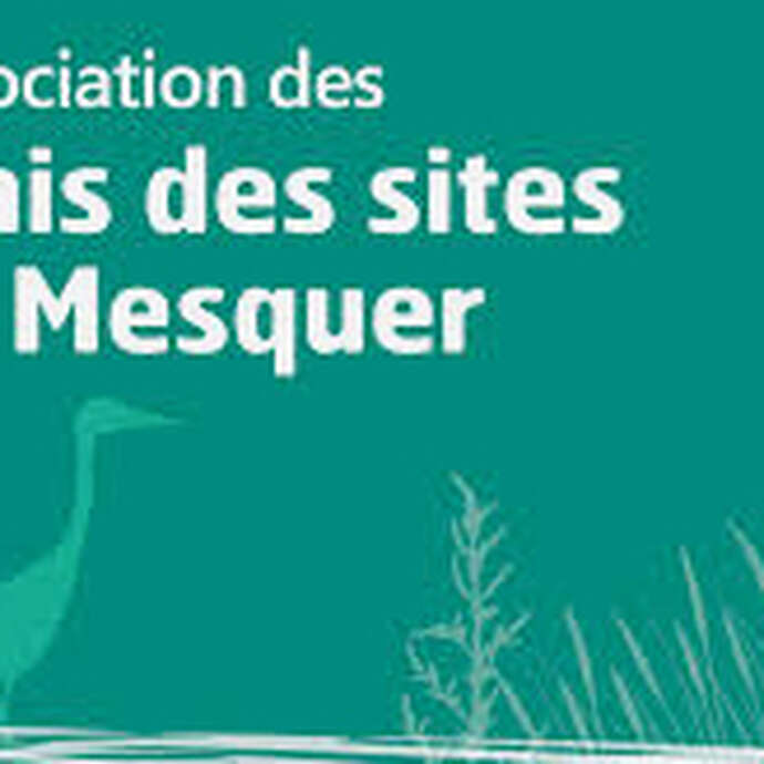 Mesquer fait son cinéma