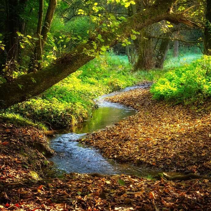 Balade contée et bucolique