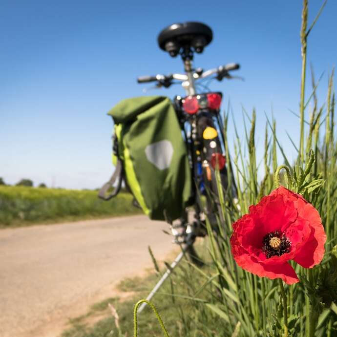 Balades découvertes du territoire à vélo