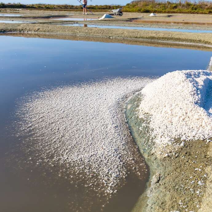 Visite insolite - à la découverte d'un paludier